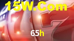 65h App Interface